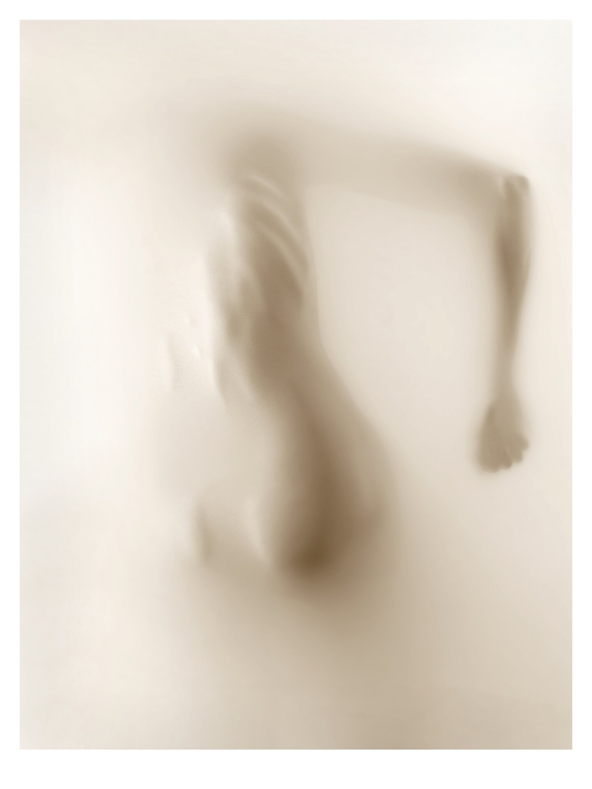 Vertebral edición limitada Premio LUX - 5