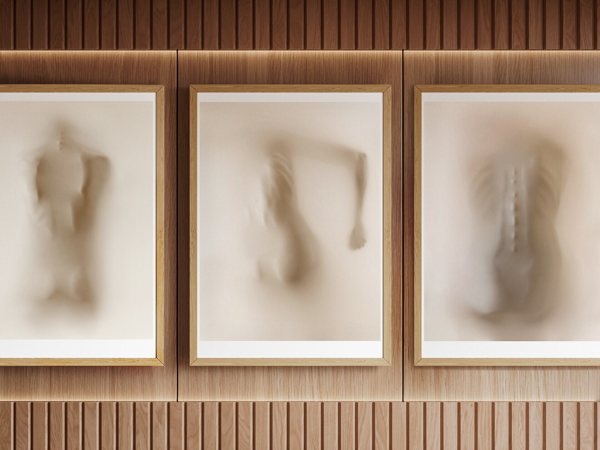 Vertebral edición limitada Premio LUX - 3