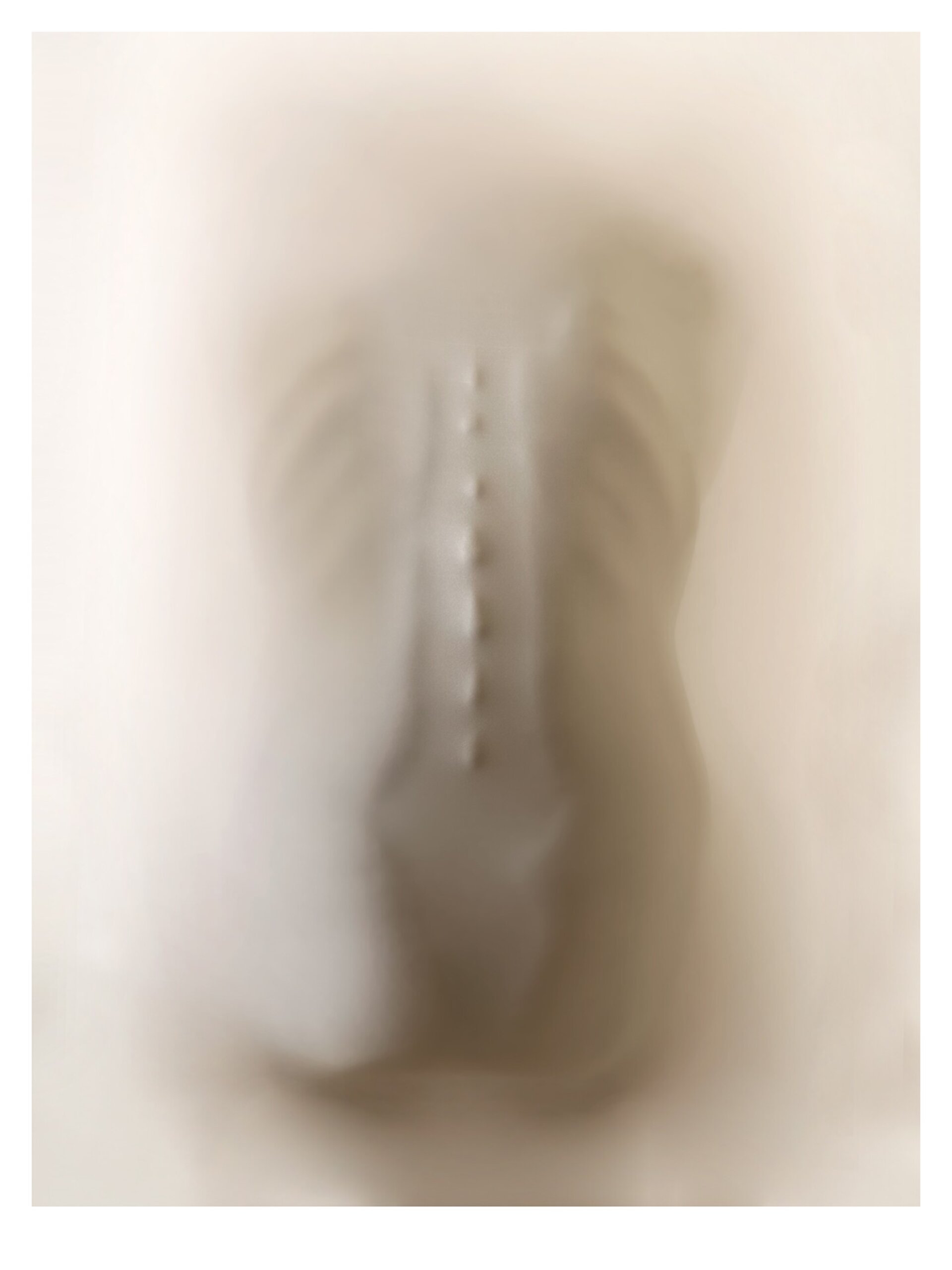 Vertebral edición limitada Premio LUX - 4